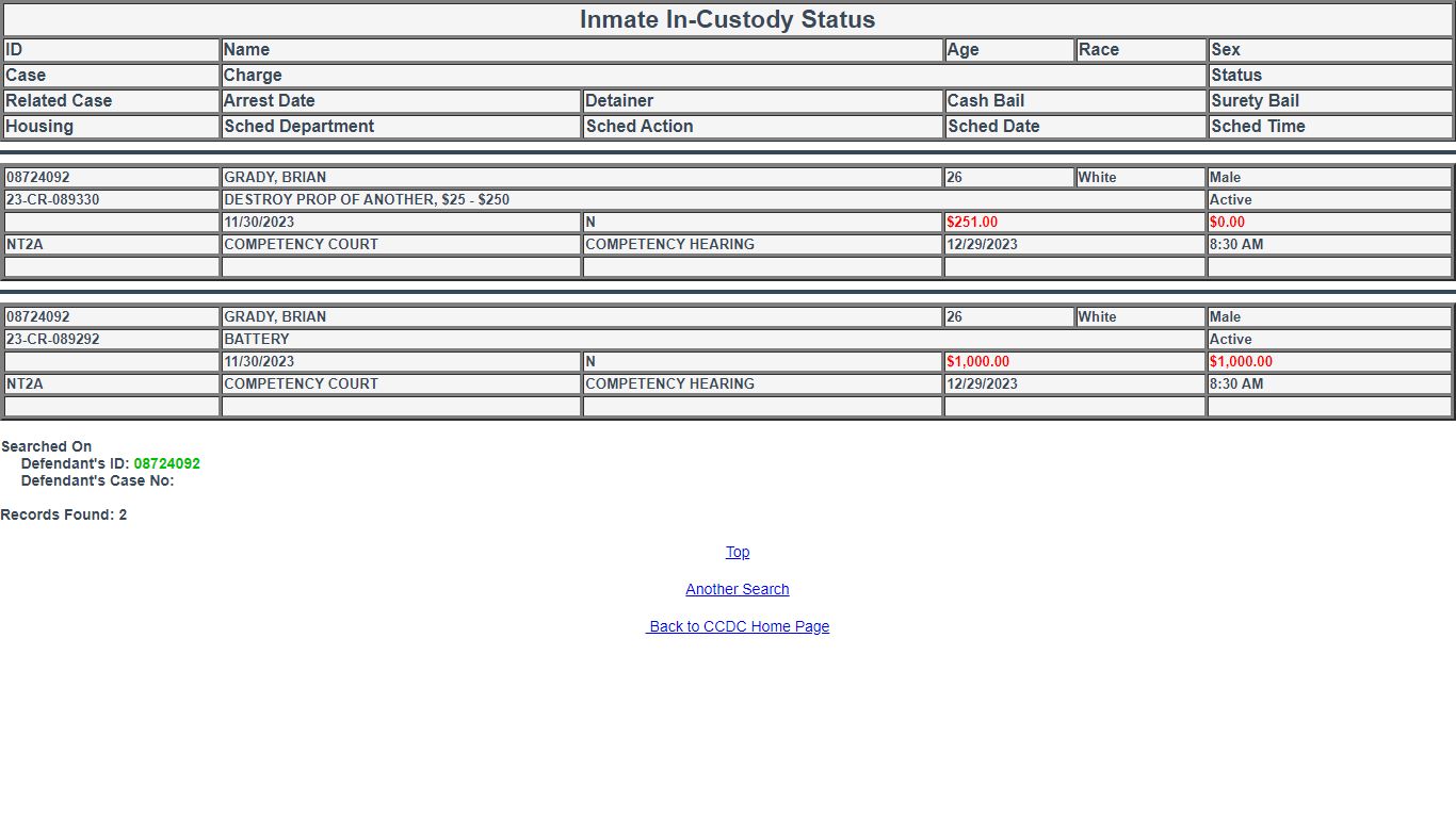 Clark County Detention Center In-Custody Status